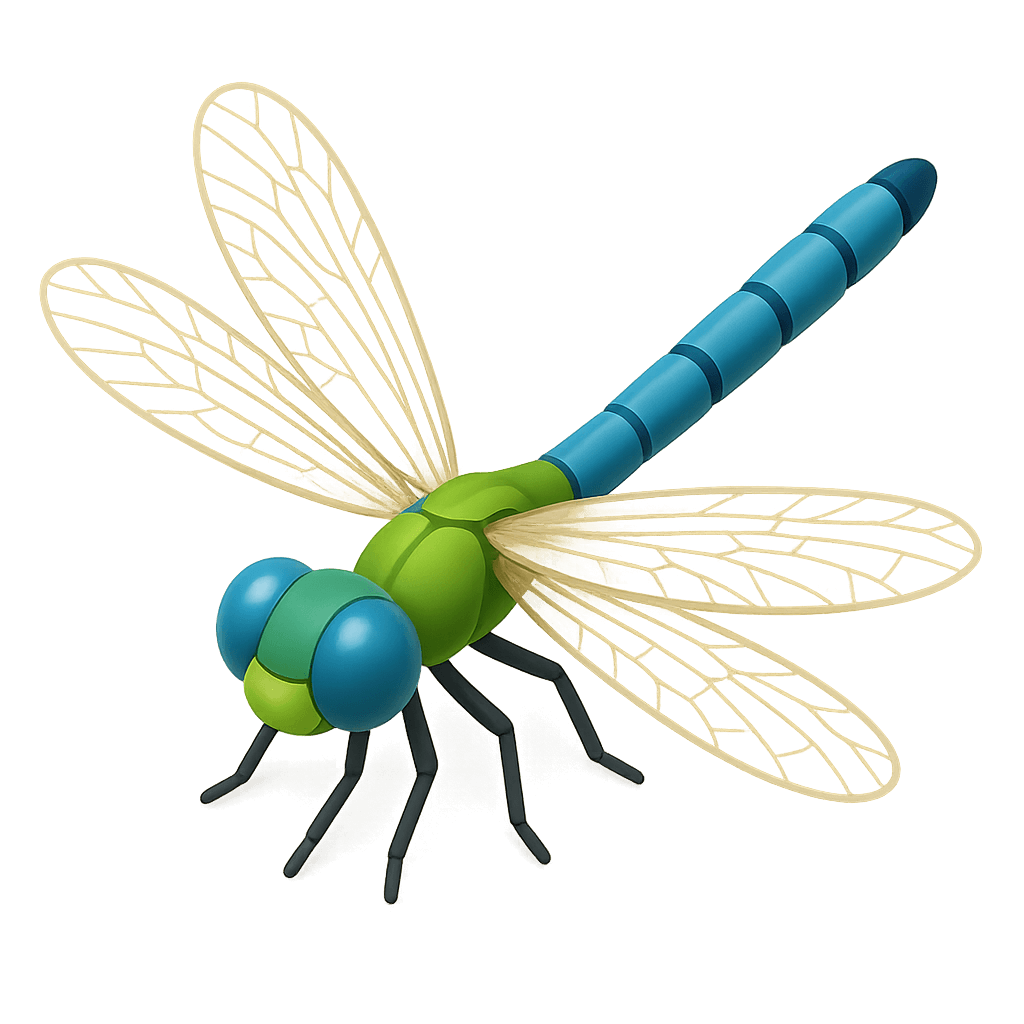 Dragonfly